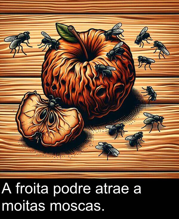 froita: A froita podre atrae a moitas moscas.