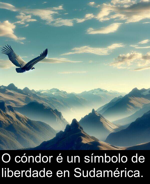 cóndor: O cóndor é un símbolo de liberdade en Sudamérica.