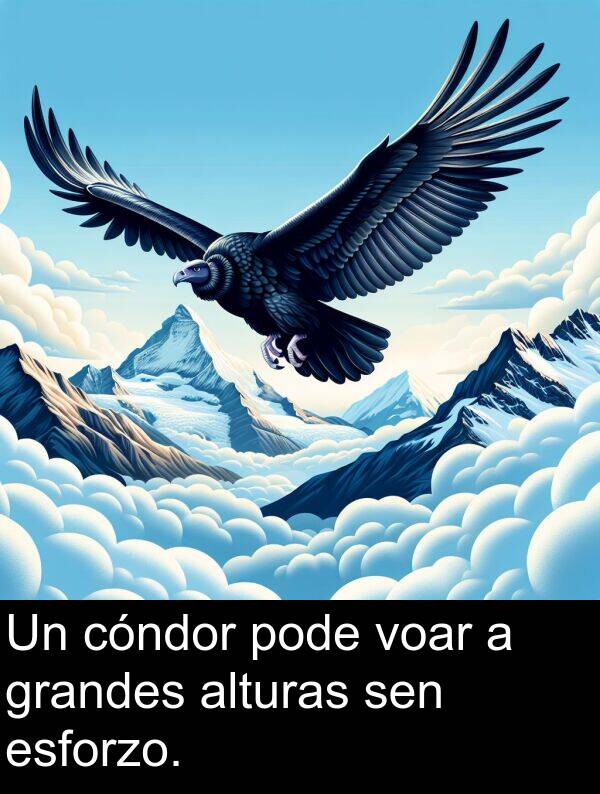 grandes: Un cóndor pode voar a grandes alturas sen esforzo.