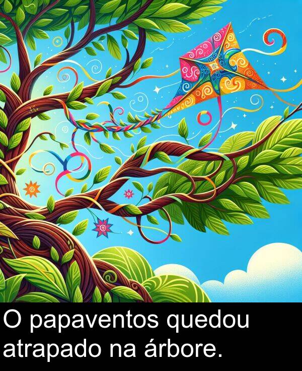 papaventos: O papaventos quedou atrapado na árbore.