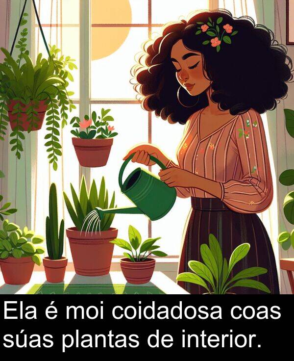 interior: Ela é moi coidadosa coas súas plantas de interior.