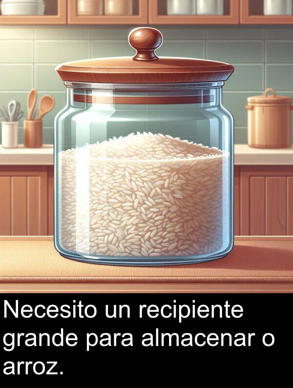 arroz: Necesito un recipiente grande para almacenar o arroz.
