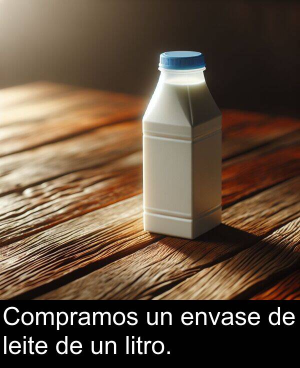 envase: Compramos un envase de leite de un litro.