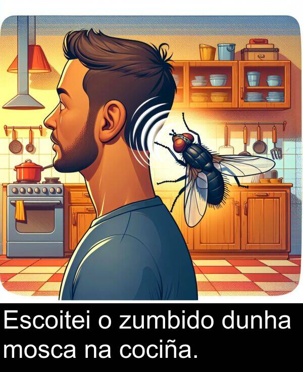 dunha: Escoitei o zumbido dunha mosca na cociña.