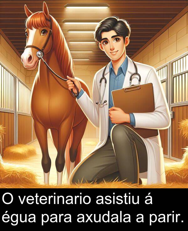 égua: O veterinario asistiu á égua para axudala a parir.
