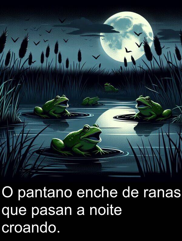 ranas: O pantano enche de ranas que pasan a noite croando.