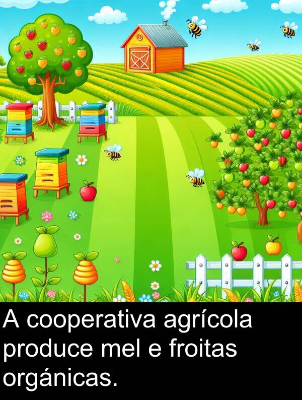 froitas: A cooperativa agrícola produce mel e froitas orgánicas.
