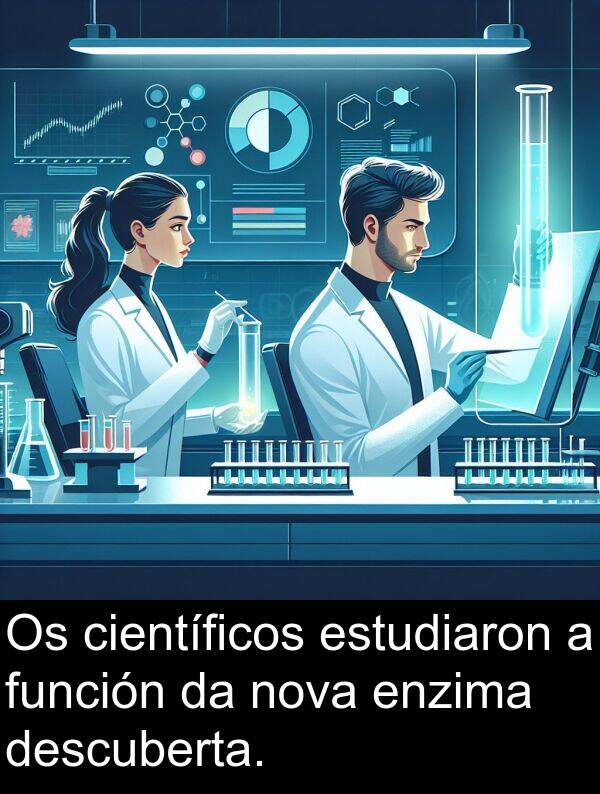 función: Os científicos estudiaron a función da nova enzima descuberta.