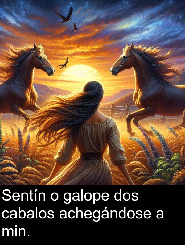 min: Sentín o galope dos cabalos achegándose a min.