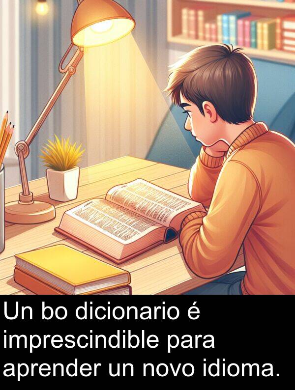 idioma: Un bo dicionario é imprescindible para aprender un novo idioma.