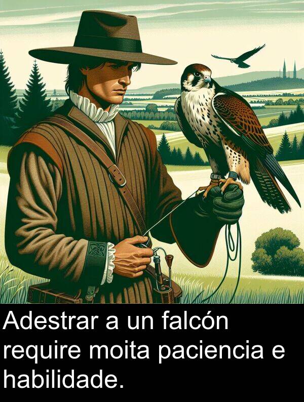 require: Adestrar a un falcón require moita paciencia e habilidade.