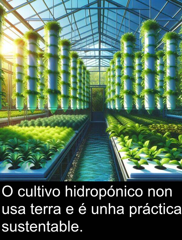 terra: O cultivo hidropónico non usa terra e é unha práctica sustentable.