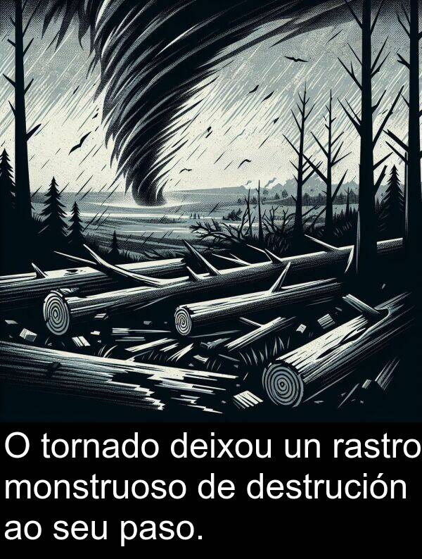 destrución: O tornado deixou un rastro monstruoso de destrución ao seu paso.