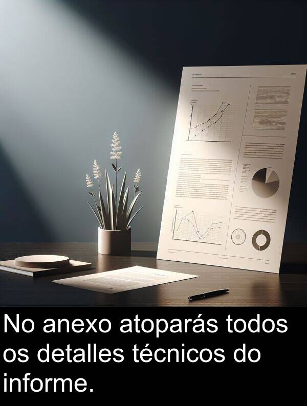 informe: No anexo atoparás todos os detalles técnicos do informe.