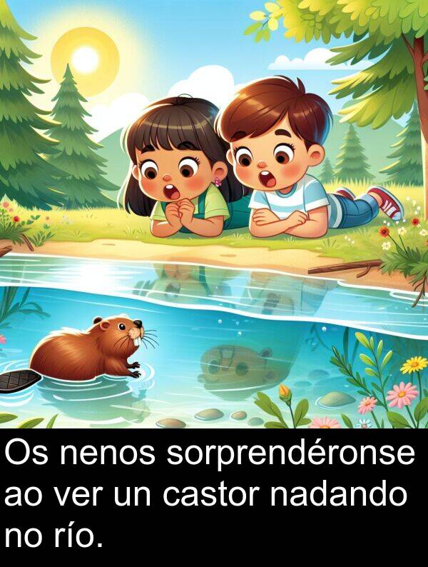 río: Os nenos sorprendéronse ao ver un castor nadando no río.