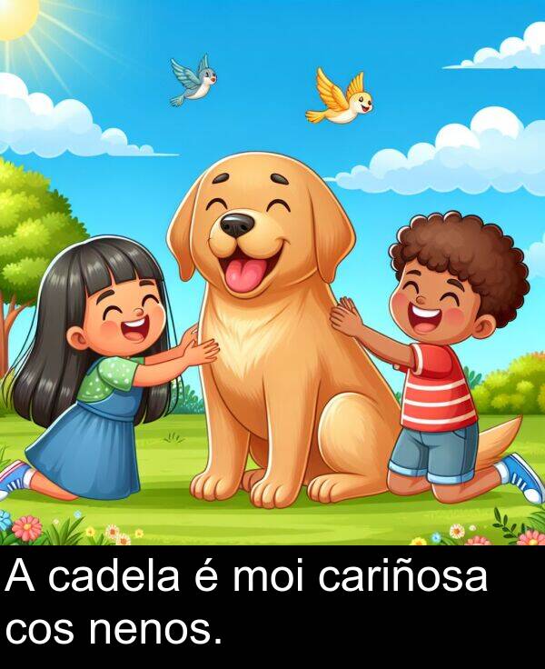 cariñosa: A cadela é moi cariñosa cos nenos.