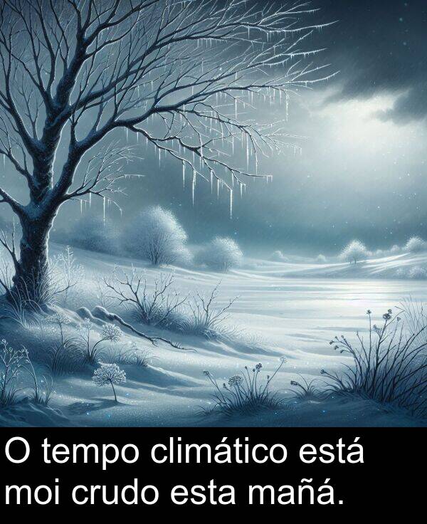 climático: O tempo climático está moi crudo esta mañá.