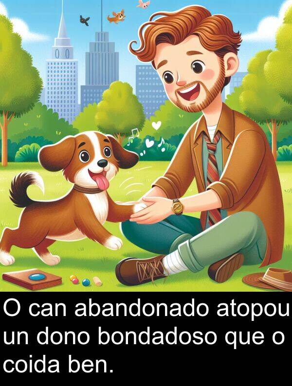 atopou: O can abandonado atopou un dono bondadoso que o coida ben.