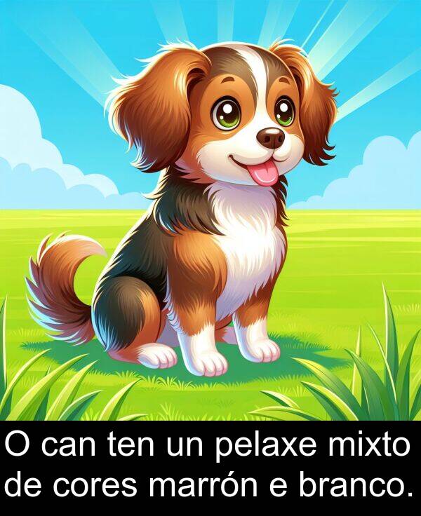 cores: O can ten un pelaxe mixto de cores marrón e branco.