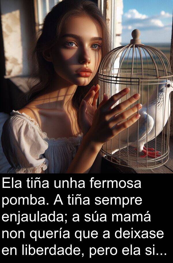 enjaulada: Ela tiña unha fermosa pomba. A tiña sempre enjaulada; a súa mamá non quería que a deixase en liberdade, pero ela si...