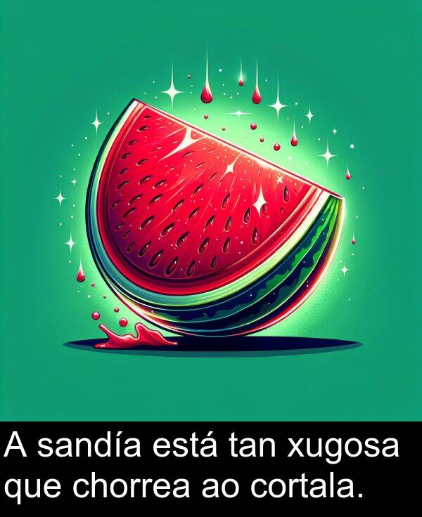 sandía: A sandía está tan xugosa que chorrea ao cortala.