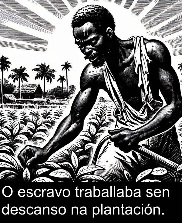 escravo: O escravo traballaba sen descanso na plantación.