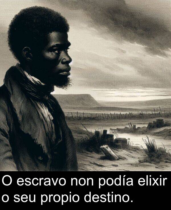 escravo: O escravo non podía elixir o seu propio destino.