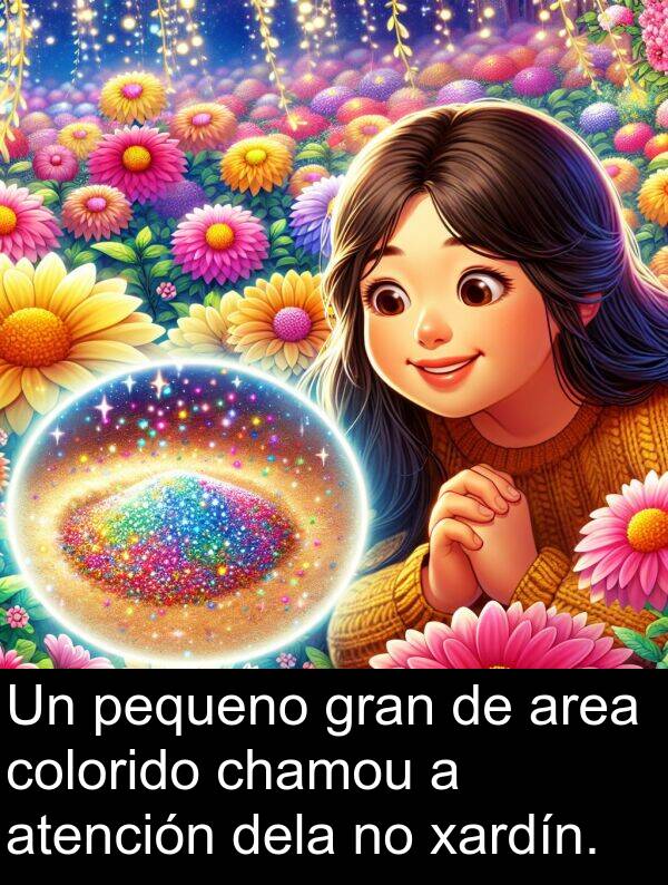 colorido: Un pequeno gran de area colorido chamou a atención dela no xardín.