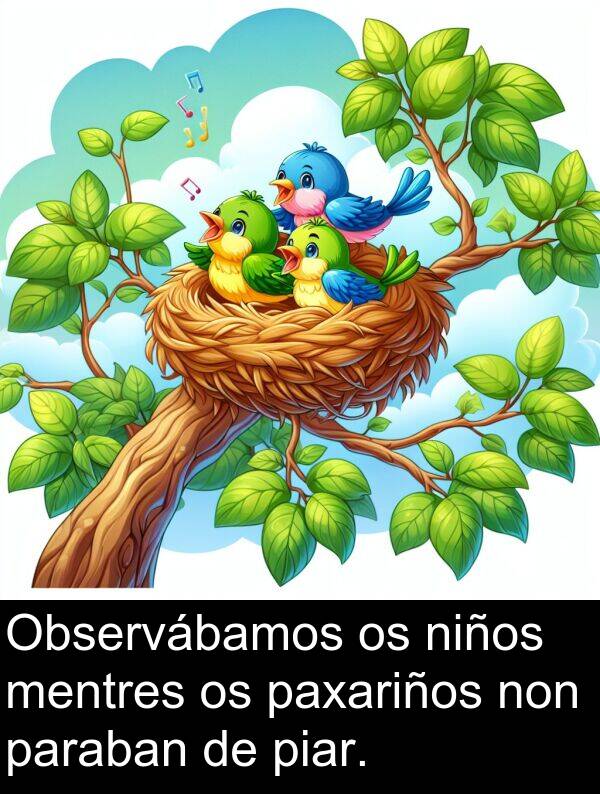 paxariños: Observábamos os niños mentres os paxariños non paraban de piar.