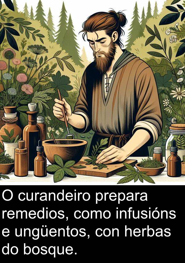 curandeiro: O curandeiro prepara remedios, como infusións e ungüentos, con herbas do bosque.