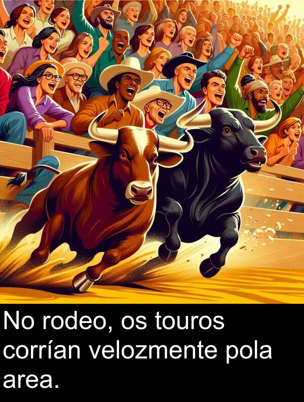 rodeo: No rodeo, os touros corrían velozmente pola area.