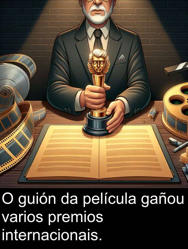 internacionais: O guión da película gañou varios premios internacionais.