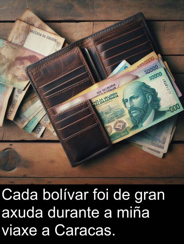 gran: Cada bolívar foi de gran axuda durante a miña viaxe a Caracas.