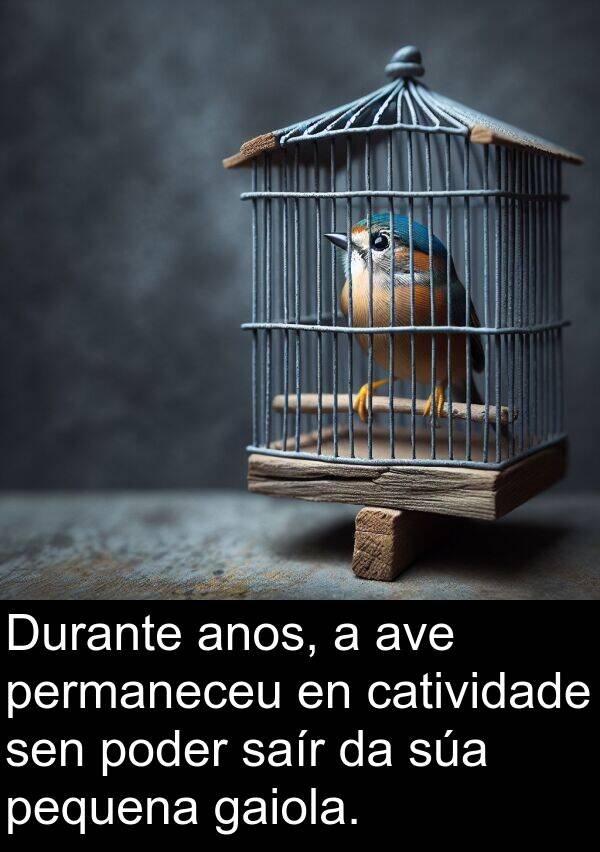 anos: Durante anos, a ave permaneceu en catividade sen poder saír da súa pequena gaiola.