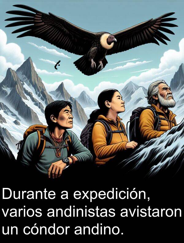 expedición: Durante a expedición, varios andinistas avistaron un cóndor andino.