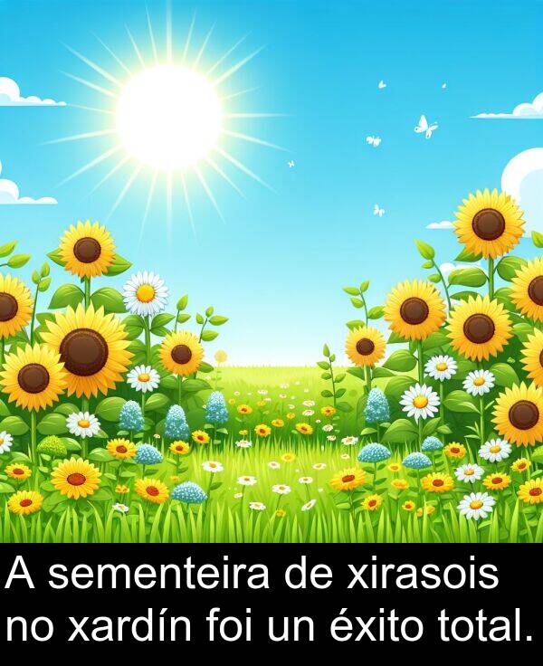 éxito: A sementeira de xirasois no xardín foi un éxito total.