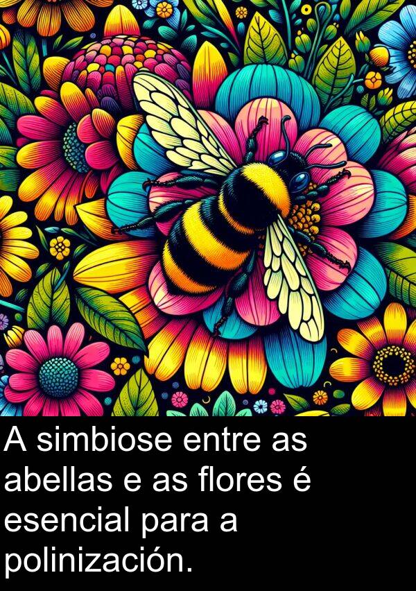 entre: A simbiose entre as abellas e as flores é esencial para a polinización.