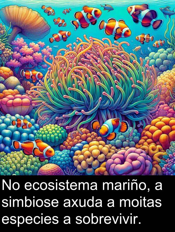 especies: No ecosistema mariño, a simbiose axuda a moitas especies a sobrevivir.