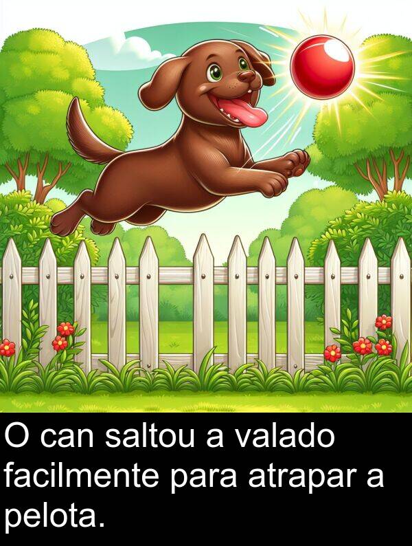 valado: O can saltou a valado facilmente para atrapar a pelota.