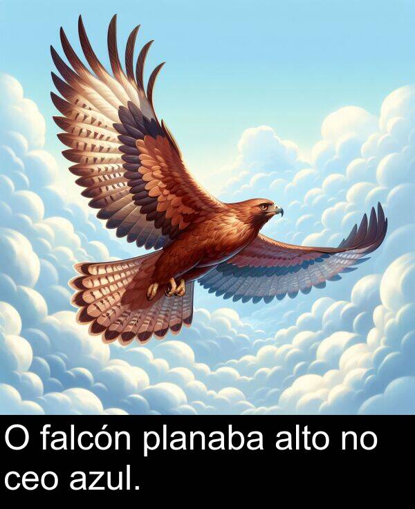 falcón: O falcón planaba alto no ceo azul.