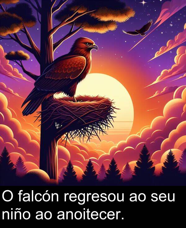 regresou: O falcón regresou ao seu niño ao anoitecer.