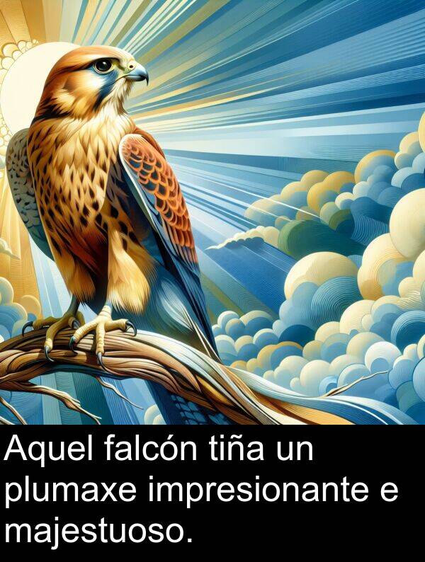 tiña: Aquel falcón tiña un plumaxe impresionante e majestuoso.