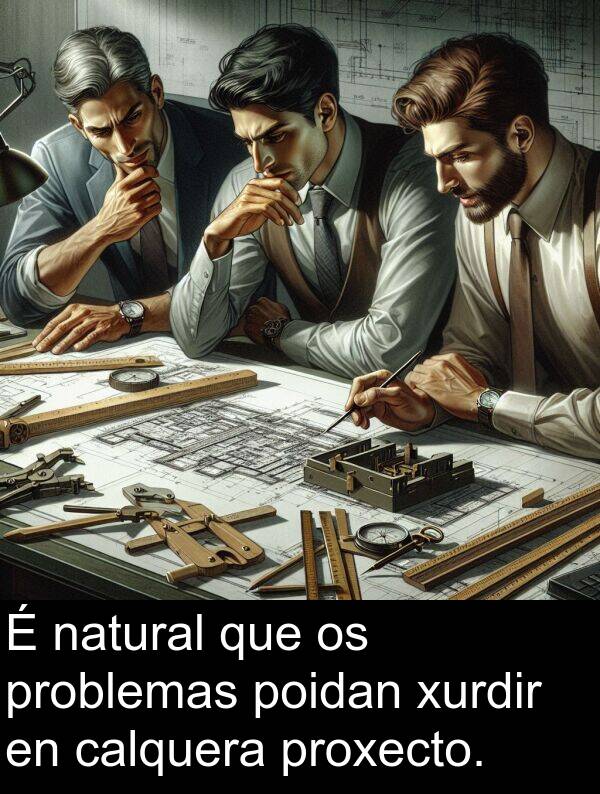 problemas: É natural que os problemas poidan xurdir en calquera proxecto.