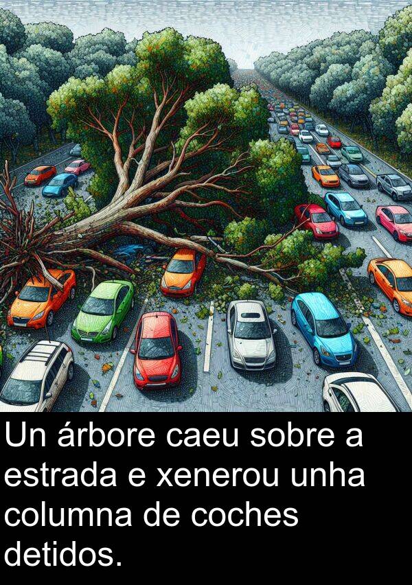 columna: Un árbore caeu sobre a estrada e xenerou unha columna de coches detidos.