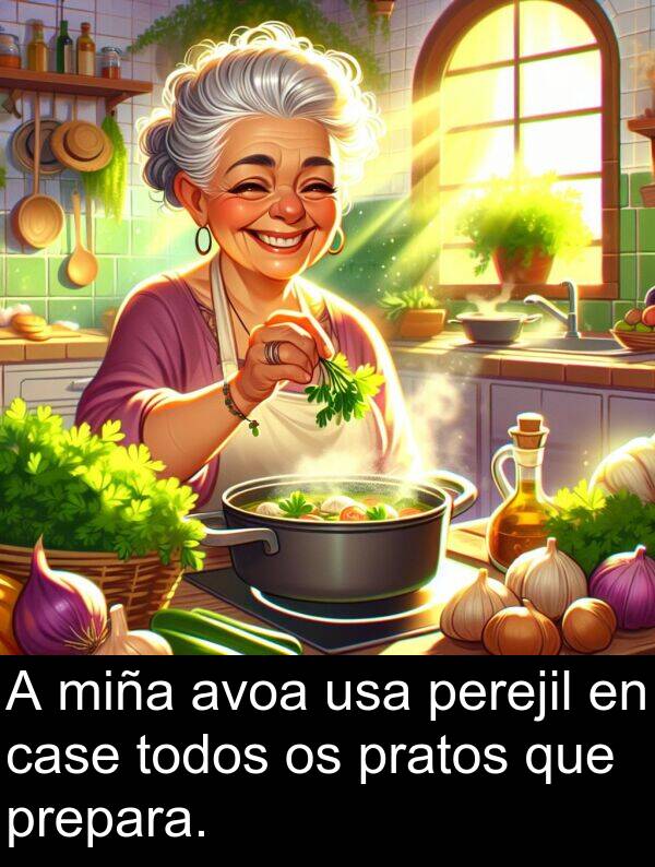 case: A miña avoa usa perejil en case todos os pratos que prepara.