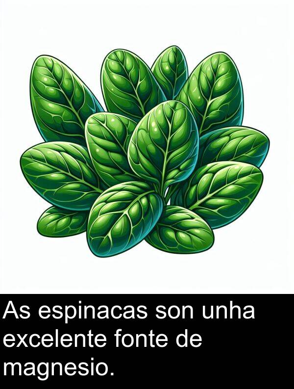excelente: As espinacas son unha excelente fonte de magnesio.