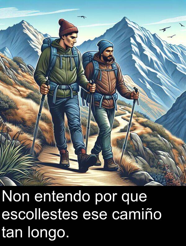 entendo: Non entendo por que escollestes ese camiño tan longo.