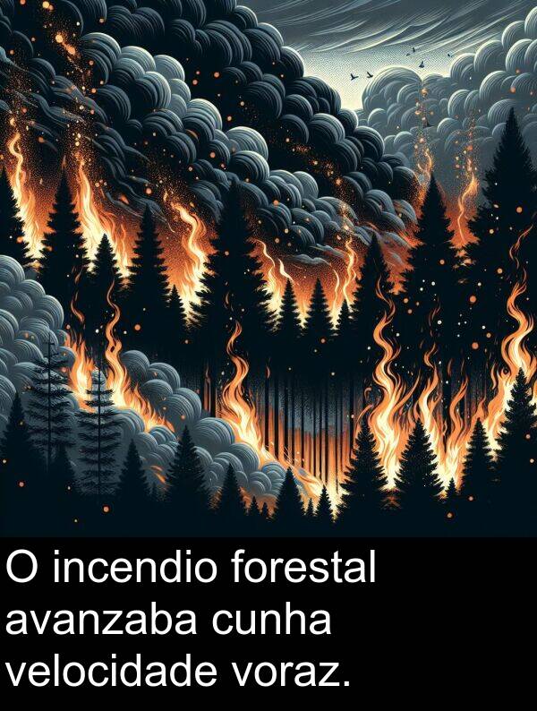 forestal: O incendio forestal avanzaba cunha velocidade voraz.