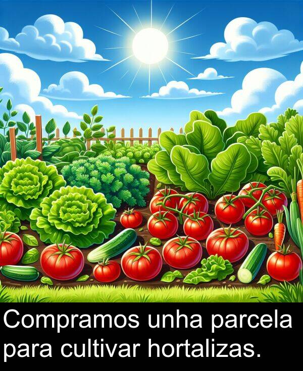 cultivar: Compramos unha parcela para cultivar hortalizas.