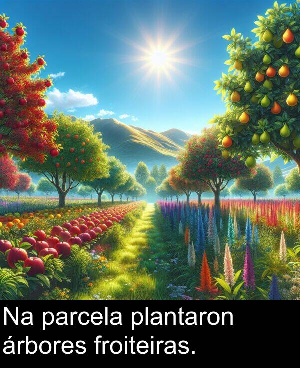 froiteiras: Na parcela plantaron árbores froiteiras.